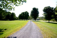 003DSC_1919